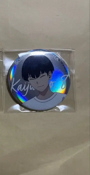 괴수 8호 베이스 야드 도쿄 호시나