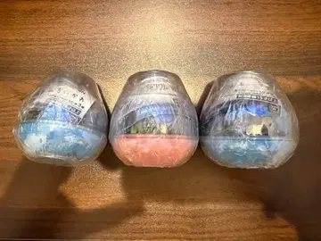 치이카와 카프세리움 칭찬 리본 2점 + 채집 3점 세트