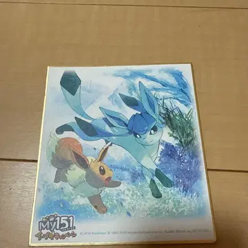 My151 이브이 캠페인 색지 글레이시아