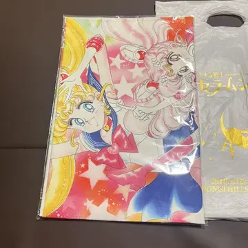 한정판 2016년 세일러문전 극세사 스포츠 타월