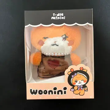 i-dle we are 팝업 woonini 우기