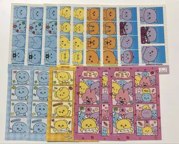 최고심 증명사진 13매 세트