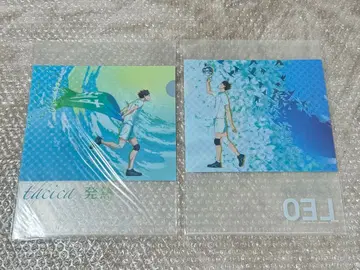 하이큐!! 클리어 파일 tacica CD 특전 오이카와 히나타 카게야마