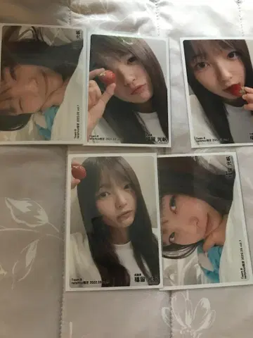 AKB48 팀8 브로마이드 후쿠도메 미츠호 C
