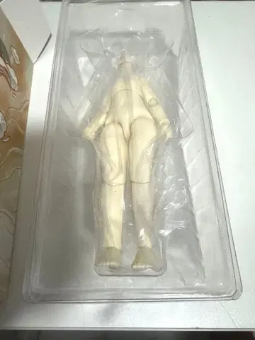 tinyfox 신 바디 1/6