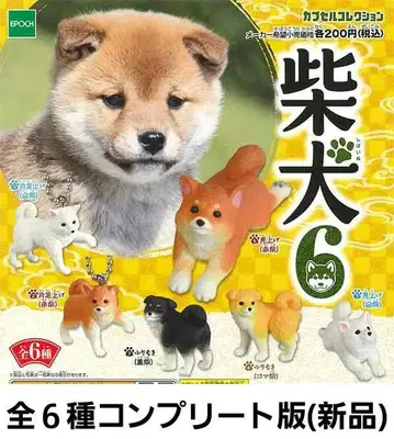 시바견 6 캡슐 컬렉션 (전 6종 컴플리트판) 에포크사 캡슐 토이