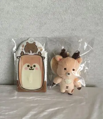 RIIZE 우라밤 10cm 공식 마스터 제작 트레이딩 카드 케이스 포함