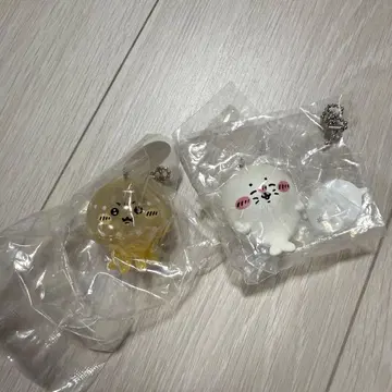 나가노 수족관 피규어 키링 2개 세트