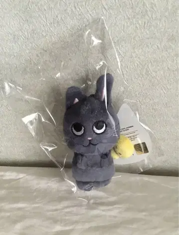 RIIZE 토냥독 10cm 공식