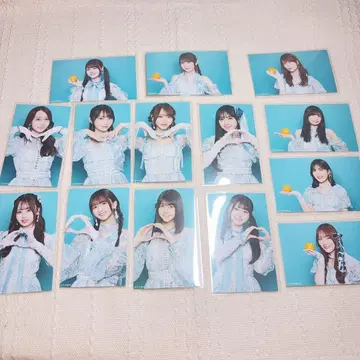 노기자카46 미니 브로마이드 네이블 오렌지 14장 묶음 판매