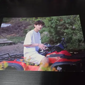 BTS IN THE SOOP 포토 카드 V 태태