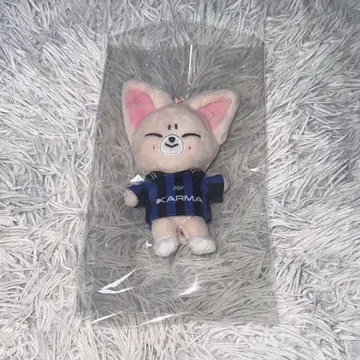 Stray Kids 아이엔