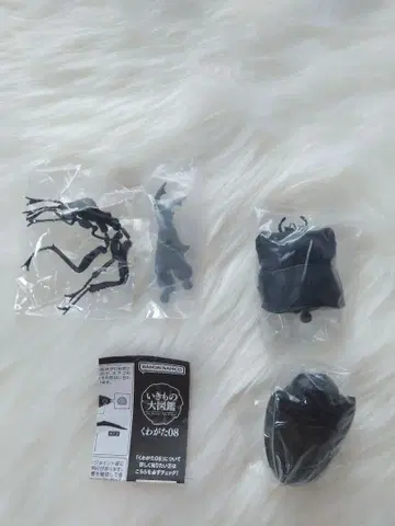 생물대도감 11개 묶음 판매
