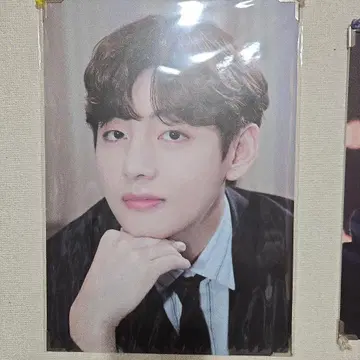 BTS V 공식 패널