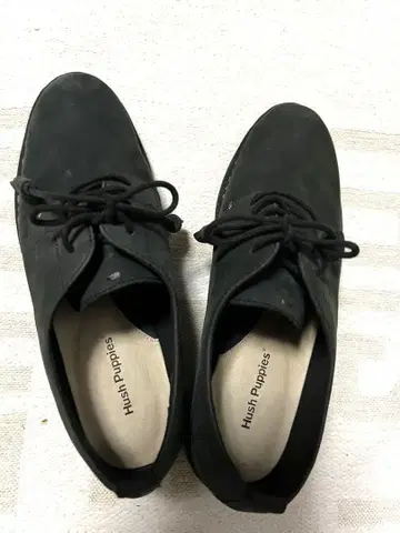 hush puppies 레이스업