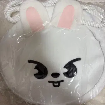 skzoo 토트백 리빗 straykids 리노