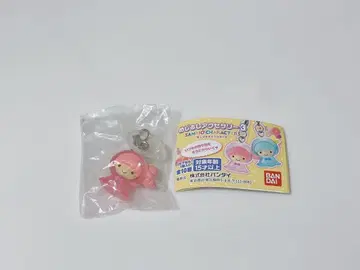 라라 메지루시 액세서리