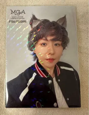 Mrs. GREEN APPLE 후지사와 료카 포토 카드 레어