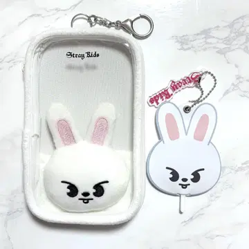 [ StrayKids ] 리비트 아크릴 스탠드 케이스 & 미니 부채