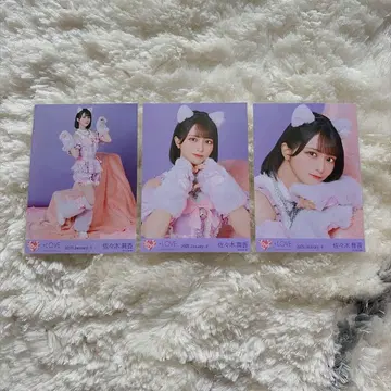 사사키 마이카 고양이 의상 컴프