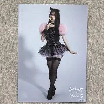 AKB48 대 의상전 랜덤 브로마이드 이토 모모카 히키