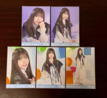 노기자카46 모리히라 레이신 13주년 기념 5종 컴프