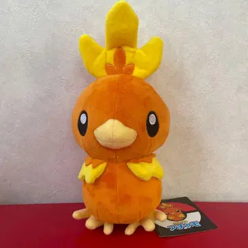 아차모 봉제 인형 25cm 포켓몬 센터