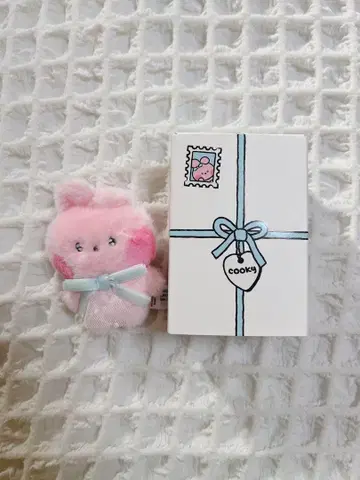 bt21 cooky minini ribbon