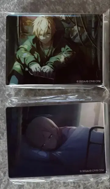 프로세카 노블 아트 시노노메 아키토 텐마 사키