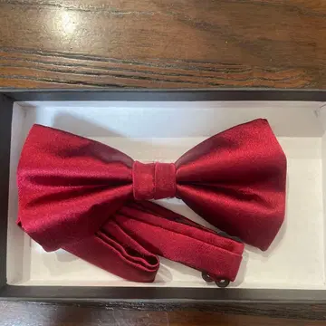 새틴 나비 넥타이 와인 레드