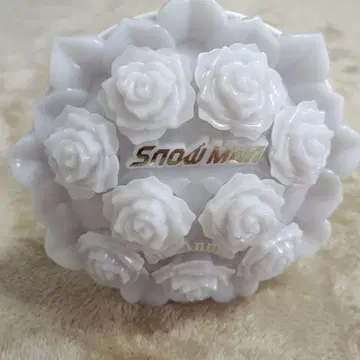 SnowMan SnowWorld 스타디움 라이브 꽃다발 펜라이트