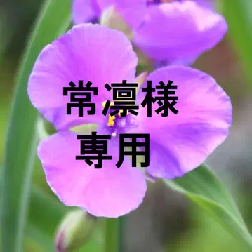 목걸이 5점 & 귀걸이 1점