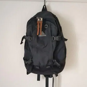 GREGORY 올데이 백팩 블랙 22L