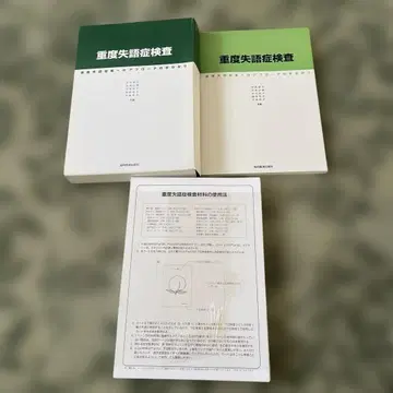중증 실어증 검사 중증 실어증 환자에 대한 접근 단서