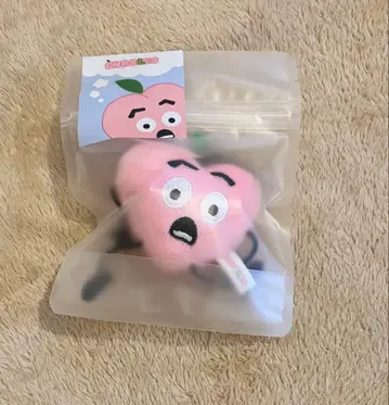 미개봉 찰스 봉제 인형 키링