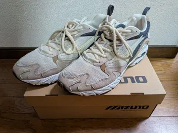Mizuno Wave Rider 10 한정판