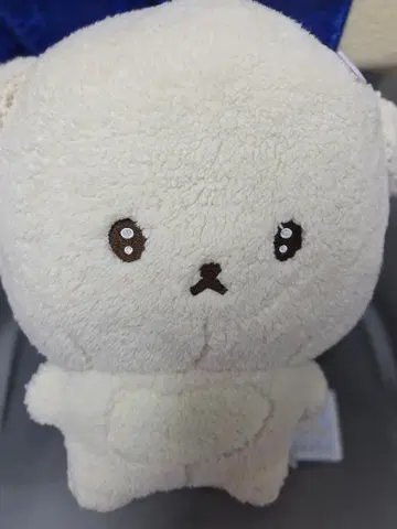 인형뽑기 경품 이시요와짱 봉제 인형 XL 프리미엄