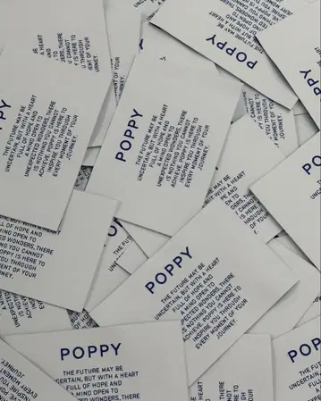 Poppy 블루 크롭 셔츠