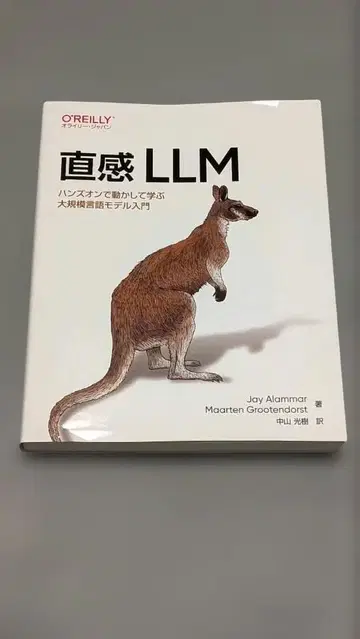 직관 LLM: 핸즈온으로 움직여 배우는 대규모 언어 모델 입문