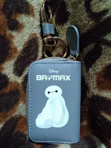 베이맥스 키케이스