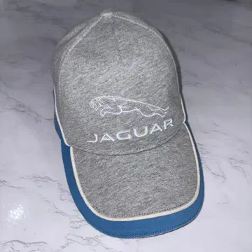 JAGUAR 캡