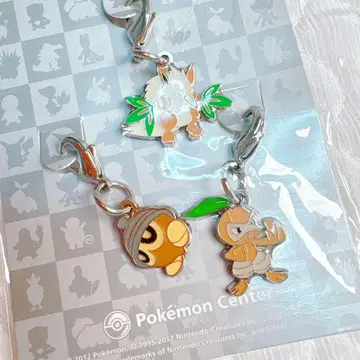 메탈 참 타네보 코토하 나다텐구 포켓몬 센터 키링