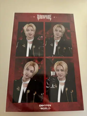 ENHYPEN WORLD POPUP 정원