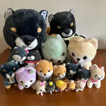 콩시바 3형제 봉제 인형