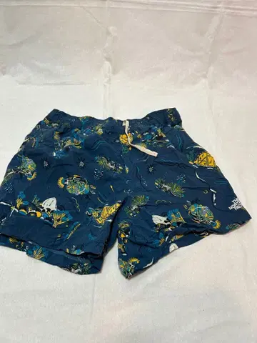 THE NORTH FACE 해양 패턴 숏팬츠