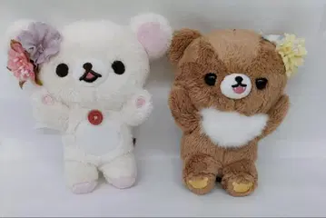 산엑스 가오가오 봉제 인형 코리락쿠마 차이로이코구마