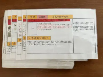 다나카 비네 지능 검사 V 검사 진행 시트 3세급 ~ 12세급 세트