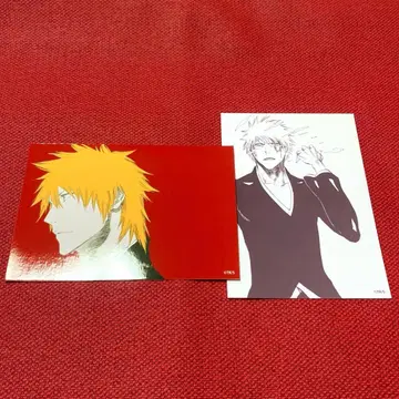 BLEACH 463 쿠로사키 이치고 브로마이드