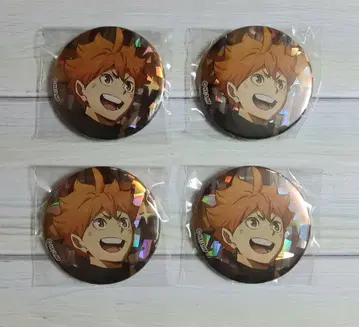 하이큐!! OFD 홀로그램 캔뱃지 히나타 쇼요