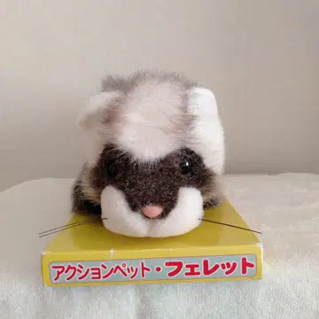 액션 반려동물 페렛 봉제 인형